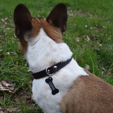 Hundemarken Rohlinge